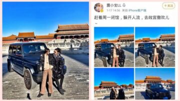 故宫“撒欢”事件：博物院长深夜道歉 副院长停职