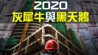 【熱點互動】2020中國經濟的黑天鵝與灰犀牛