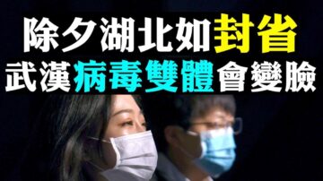 【拍案驚奇】大年除夕湖北4000萬人「禁足」醫護市民外送情報