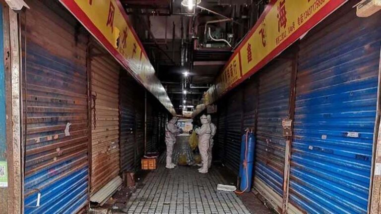 武漢新病毒基因排序曝光 與SARS病毒近8成相同