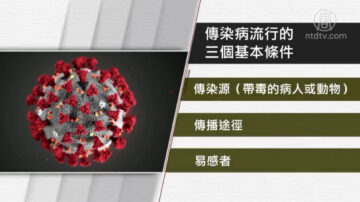 【禁闻】专访董宇红：新冠肺炎疫情为何迅速蔓延