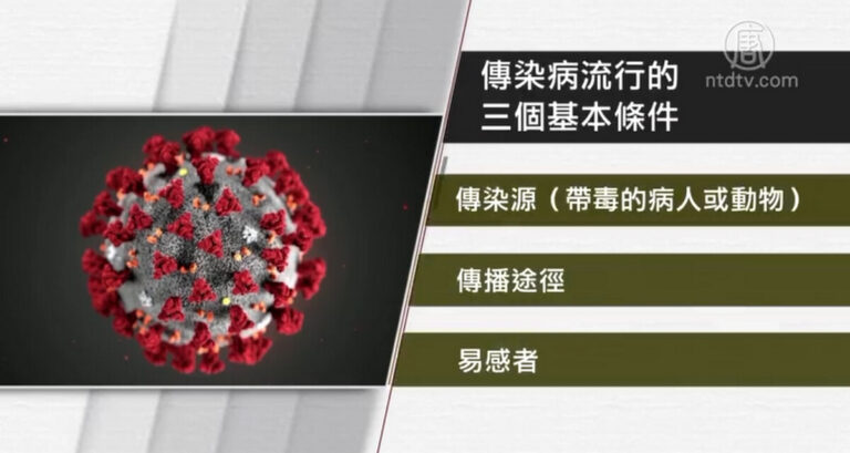 【禁聞】專訪董宇紅：新冠肺炎疫情為何迅速蔓延