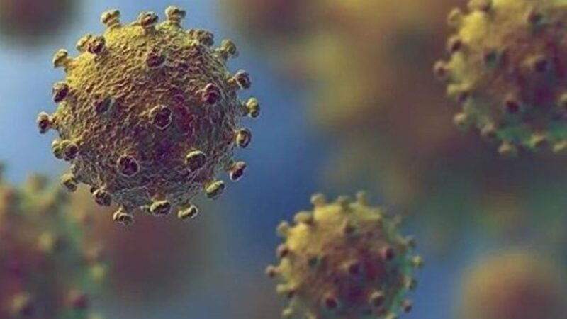 俄卫生部：新冠病毒是重组病毒