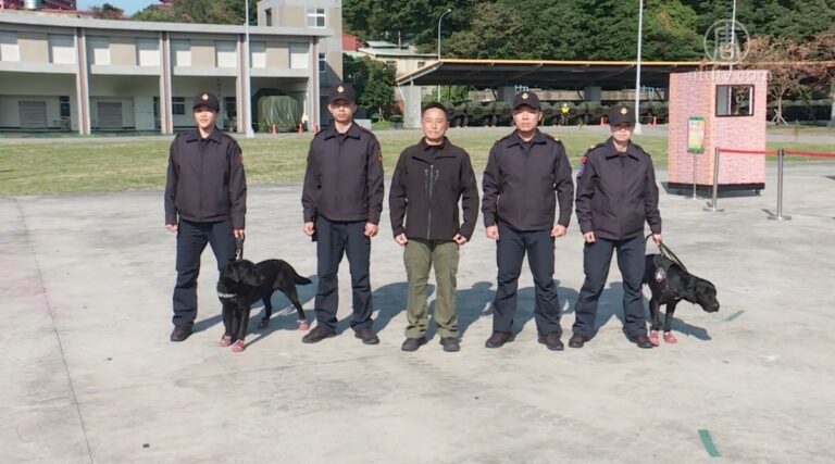 台灣憲兵隊緝毒犬操演 三隻拉不拉多亮相