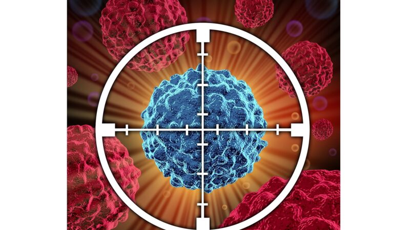 英研究者找到癌细胞通用免疫杀手