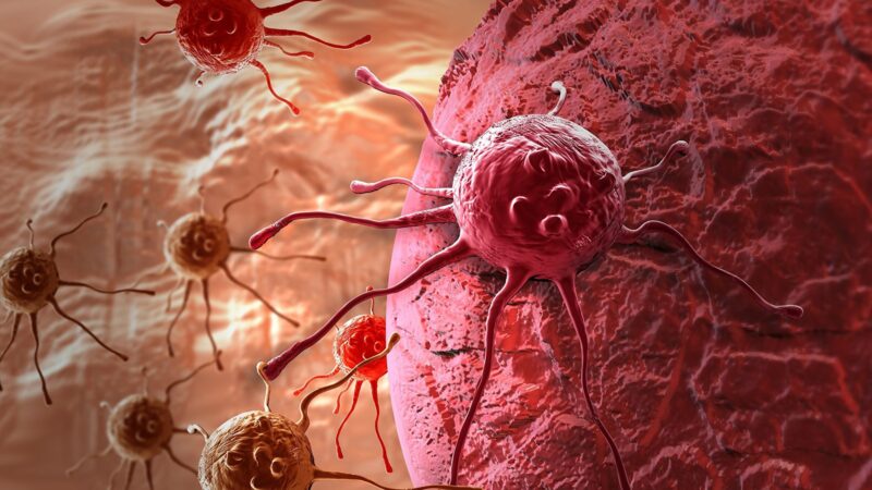 新方法首次看到癌细胞之间如何联络