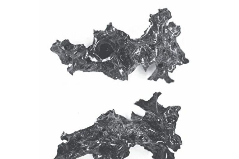 考古發現龐貝城火山噴發遇難者腦化石