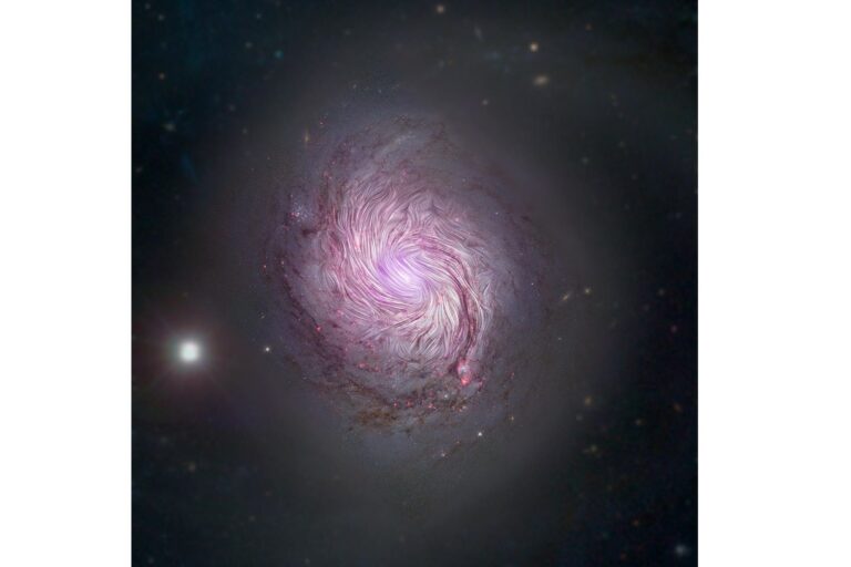 SOFIA首次觀測到螺旋星系磁場形態