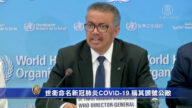世衛命名新冠肺炎COVID-19 稱其頭號公敵