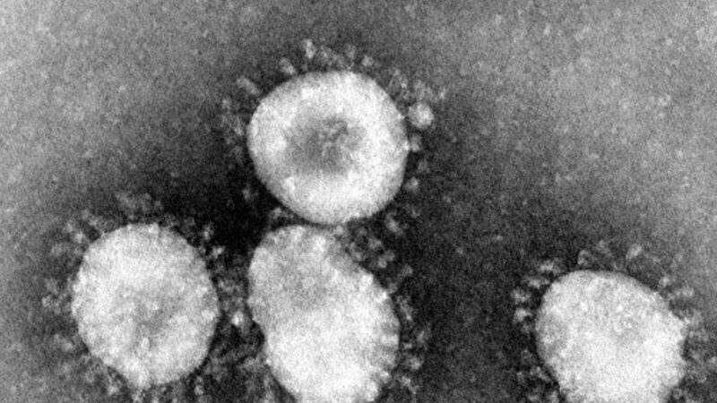 什么是冠状病毒？