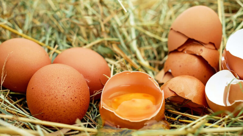 别小看一颗水煮蛋！鸡蛋身上有四味药（组图）