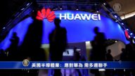 美國半導體業: 應對華為 需多邊聯手