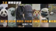 《明明會說話》狗演員「演技」 連影帝也歎服(視頻)