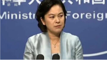 洪微：外交部也故意「出賣」中央