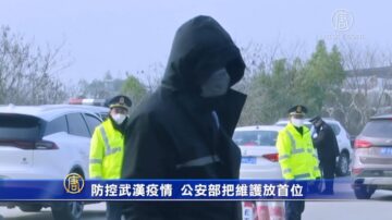 防控武汉疫情 公安部把维护政治安全放首位