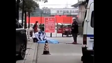 暴力防疫釀命案 網傳村民砍死值崗人員(視頻)