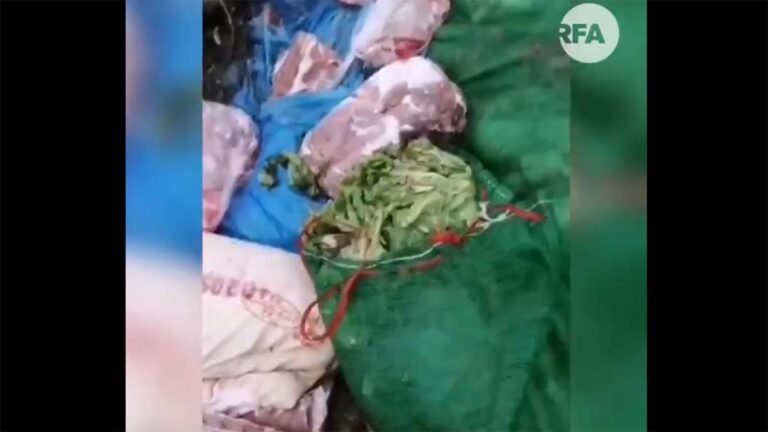 內幕:武漢大量銷毀外省捐助食物 保官方供應高價