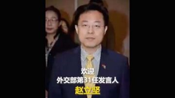 中共外交部新發言人上任 被曝推特關注前AV女優