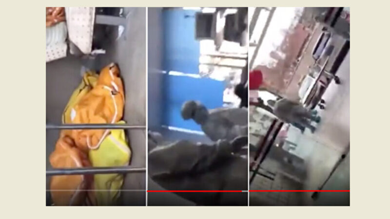 武漢網友暗訪醫院 5分鐘見8屍體 當晚被抓（視頻）