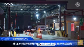 【直播回放】武漢台僑專機載回桃機 大陣仗待命接機