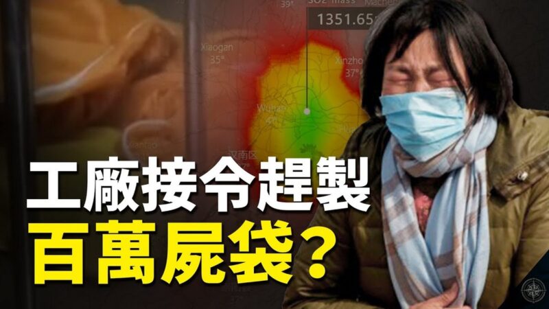 ¿Qué tan grave es la epidemia en Wuhan?  Fábrica expuesta por la industria está haciendo millones de cadáveres