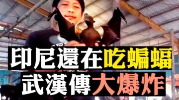 【拍案惊奇】三“锦衣卫”接大权！洗牌湖北官场 谣言再变预言 十堰战时管制