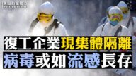 【拍案驚奇】復工企業現集體隔離 病毒或如流感長存