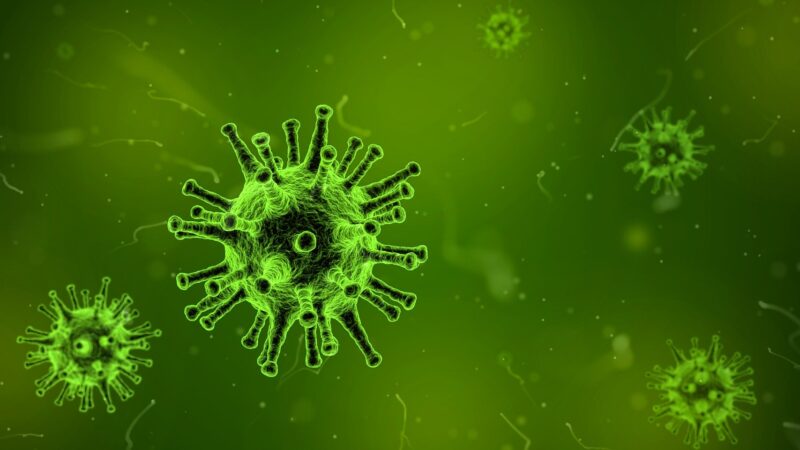 新冠病毒在接触面可存活多久？