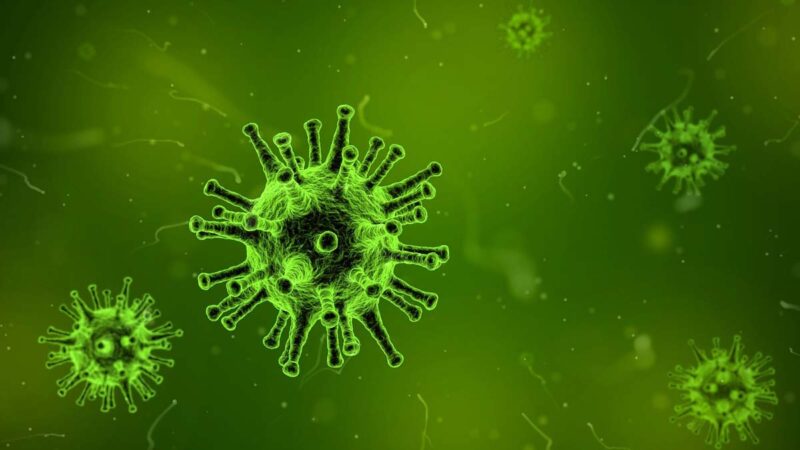 【萧茗看世界】西方学者提出 有证据显示新型冠状病毒在实验室合成 被泄漏