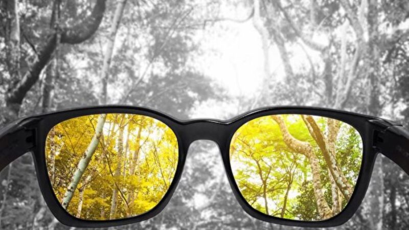 高科技隐形眼镜可矫正色盲