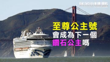 美国旧金山出现社区感染 至尊公主号会成为下一个钻石公主吗 【旧金山焦点】