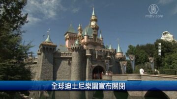 美禁歐洲旅客入境 IATA：恐致部分航空公司倒閉