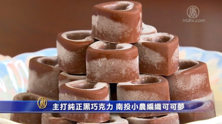 主打純正黑巧克力 南投小農編織可可夢