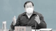 王忠林暫時著陸進人大 被爆轉閑職備查