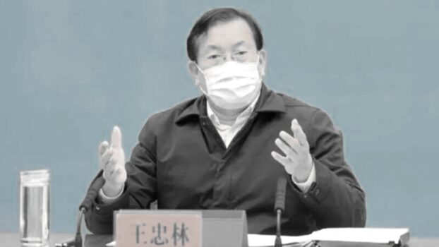 王忠林暫時著陸進人大 被爆轉閑職備查