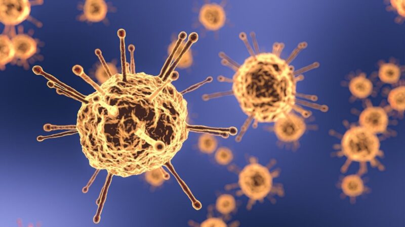 冰島發現40種中共病毒變體 首現「雙重感染者」