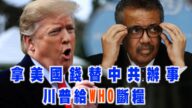 川普痛批世衛組織以中國為中心 搞砸防疫工作【西岸觀察】