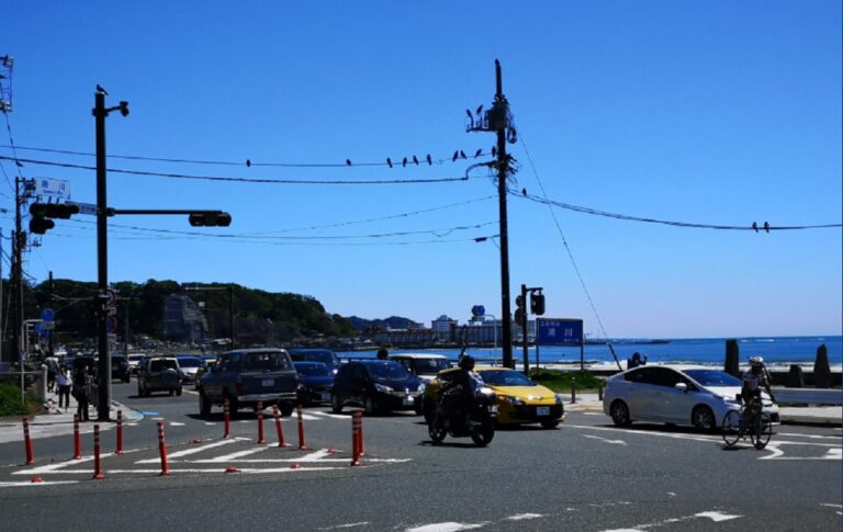 日本疫情延燒 政府籲勿外出 觀光勝地仍湧車潮