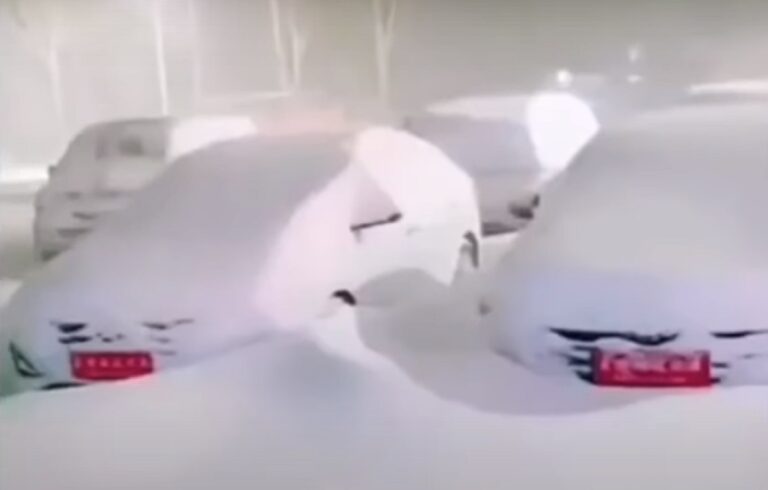 黑龍江春播遇罕見雪災 產糧大省遭重創（多視頻）