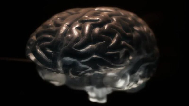 人的大腦居然「活了2000多年」震驚了科學界