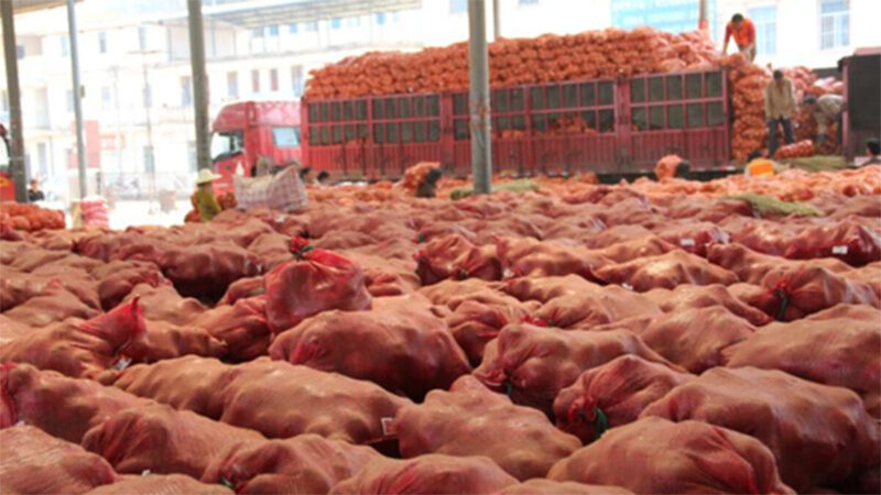 疫情冲击致农产品滞销 中国农民损失惨重