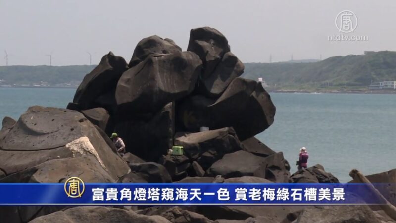 富貴角燈塔窺海天一色 賞老梅綠石槽美景