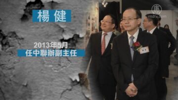 香港中联办副主任杨健被免职