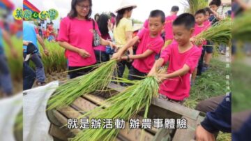 美麗心台灣：羅元鴻的農作與藝術 看見不一樣的美濃