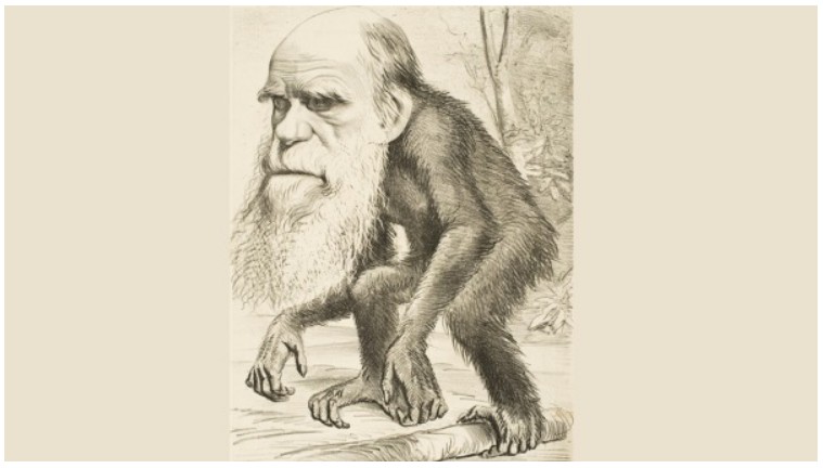 炮制进化论 达尔文被怪病缠身40多年(图)