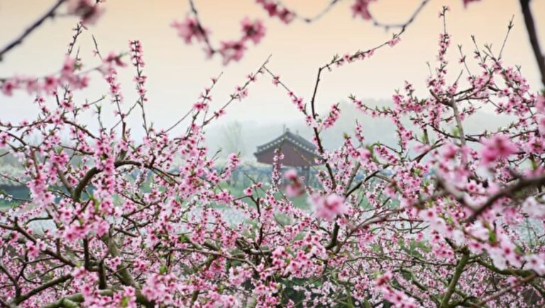 仙境一來回九十年 採藥人得壽五千年（組圖）