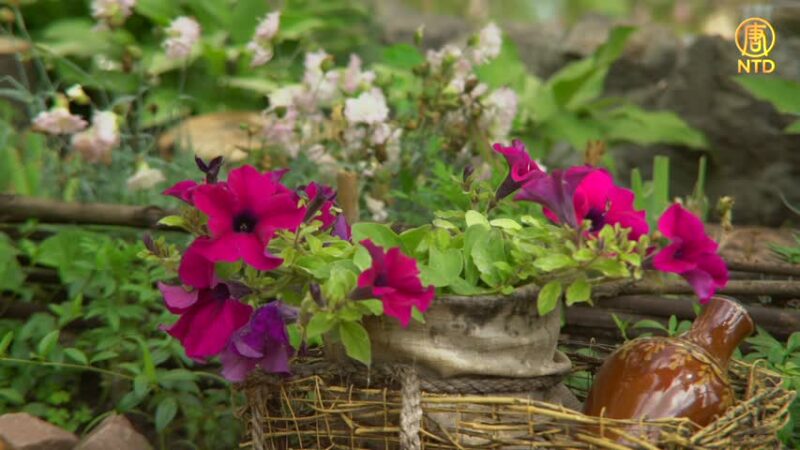 【幸福有家】花花草草那些事 園藝師妙手打造後花園