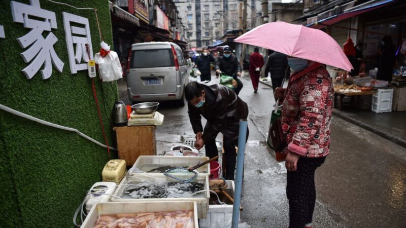 习近平讲话不管用？武汉的鱼也遭嫌弃