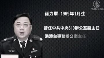 王友群：孫力軍被抓捕的前因後果
