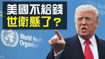 【熱點互動】任志強被調查標誌著什麼？世衛如何名聲掃地？